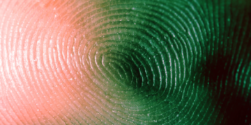 Glowing Green Skin Could Be the Future of Disease Detection