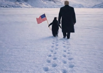 White House roasted for not knowing where penguins actually live: ‘Wrong hemisphere!’