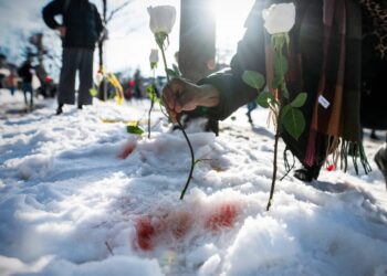 Why ICE Can Kill With Impunity