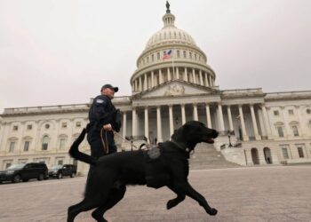 This Nebraska mom’s ordeal points to the darkness awaiting us all under Trump