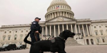 This Nebraska mom’s ordeal points to the darkness awaiting us all under Trump