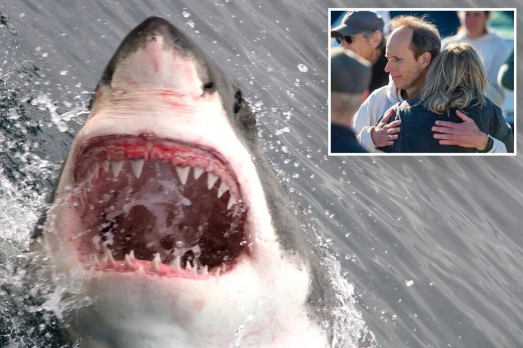 Calif. hits terrifying record involving sharks