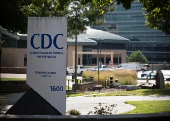 Top disease experts become dog-walkers and yoga instructors after Trump’s CDC purge