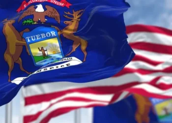 Ex-Dem official charged with embezzling up to $100K from wealthy elderly woman