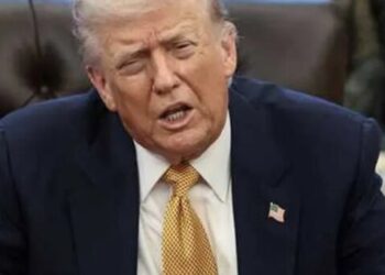 Legal expert warns Trump may have found a way to sidestep the Supreme Court