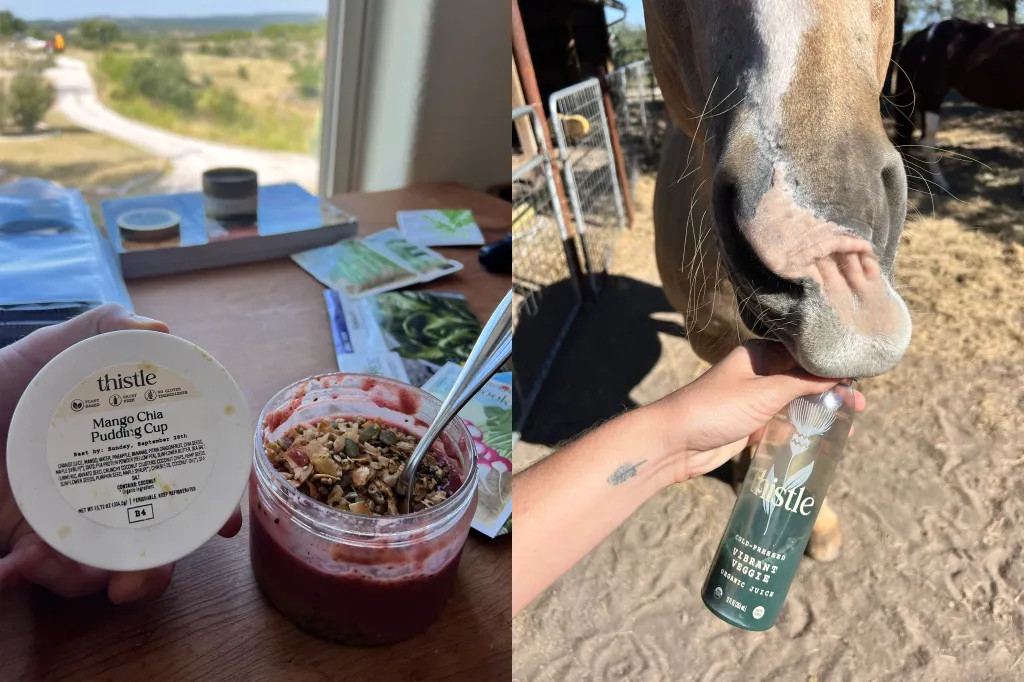 Collage of two images. The left image shows a Thistle Mango Chia Pudding Cup and a half-eaten Thistle Mango Chia Pudding Cup with a spoon in it. The right image shows a horse drinking from a Thistle Cold-Pressed Vibrant Veggie Organic Juice.