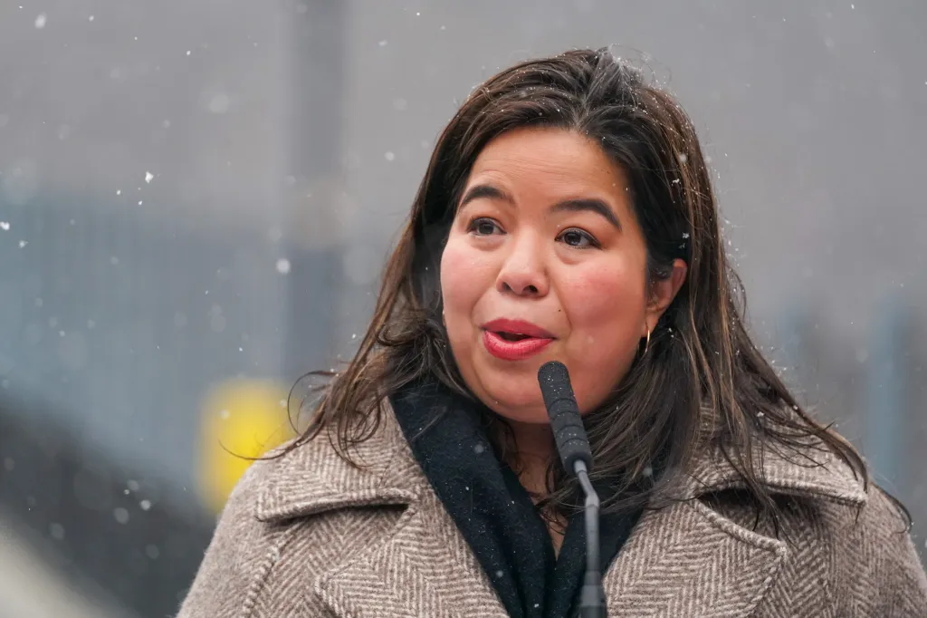 Tricia Shimamura, the New Parks Comm., speaking at a press conference.