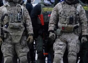 Calls mount to ‘rise up’ as doctors speak out against ‘grotesque’ ICE acts