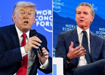 President Trump blasts Gov. ‘Newscum’ for ‘embarrassing’ US at Davos while California crumbles