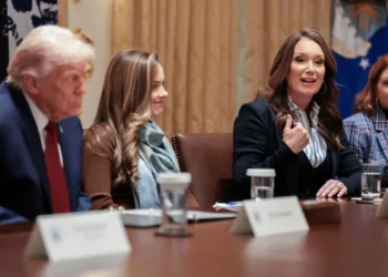 Trump Cabinet member mocked over $3 meal idea: ‘Can’t even get a McDouble for that!’