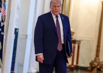 Expert alarmed as Trump now taking a page from ISIS: ‘Never seen anything like this’