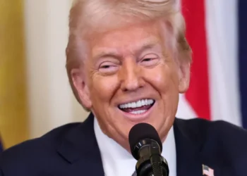 ‘Hope this is a joke’: Trump ally launches attack on admin official’s ‘very stupid idea’