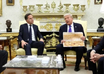 ‘Pathetic’ Trump blasted by niece for building ballroom to ‘pay homage’ to himself