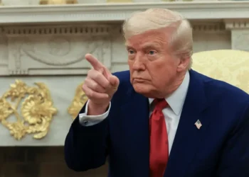 Trump’s Greenland push highlights ‘real danger’ of president’s second term: expert