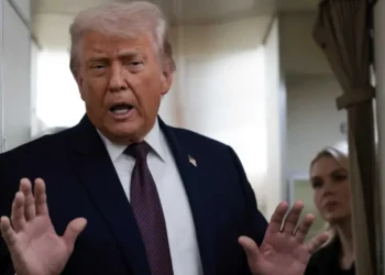 Analyst reveals the ‘most disturbing’ part of Trump’s latest chilling scheme