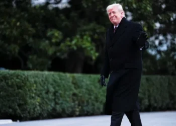 ‘All of this is at risk’: Expert sounds dire new warning over Trump’s BLM nomination