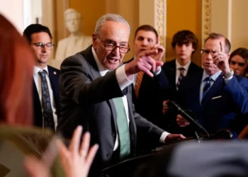 Dems most avoid ‘great temptation’ of one topic in midterms run-up: analysis