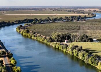 Newsom’s signature water tunnel is set back by California court ruling