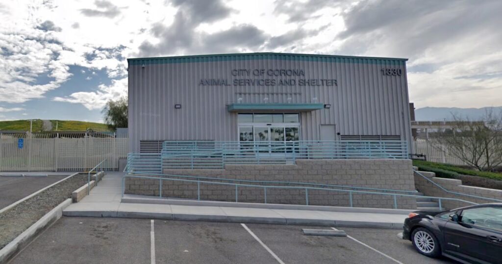 ‘Disturbing’ video of dog being dragged away by Corona animal control officers sparks outrage