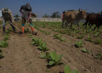 The Cuban people’s resilience is a strength but also a trap