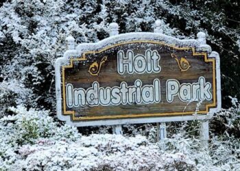 Snow falls on parts of Sunshine State for a second year in a row