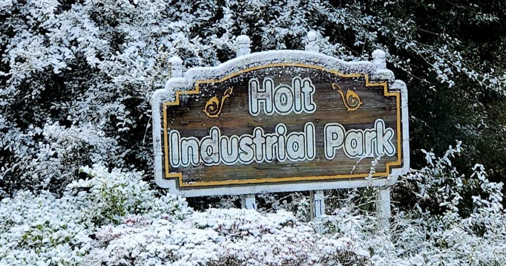 Snow falls on parts of Sunshine State for a second year in a row