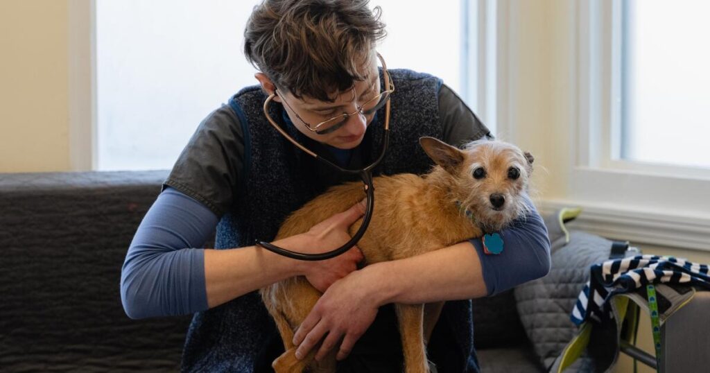 College women far outnumber men in law, medical, vet schools. Why this matters