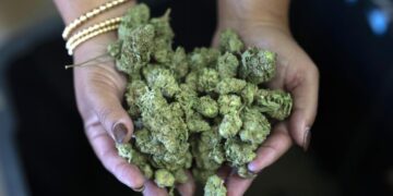 Loose cannabis is like spilled beer, not open container in car, state Supreme Court rules