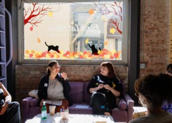 ‘2026? More like 2020-sex!’ Inside a racy romance book club unafraid to go there