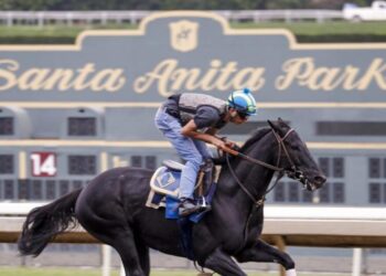 Santa Anita Park sues California DOJ over seizure of betting machines