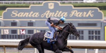 Santa Anita Park sues California DOJ over seizure of betting machines