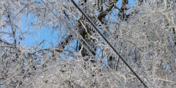 Why power outages do more economic damage than we think