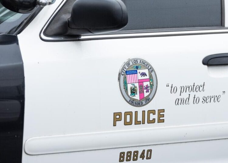 Mom, 19, arrested after toddler abandoned during botched car theft in Highland Park