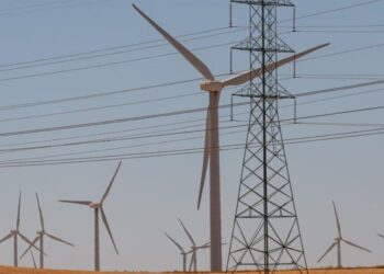 Green energy stocks surge despite Trump’s  policies