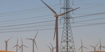 Green energy stocks surge despite Trump’s  policies