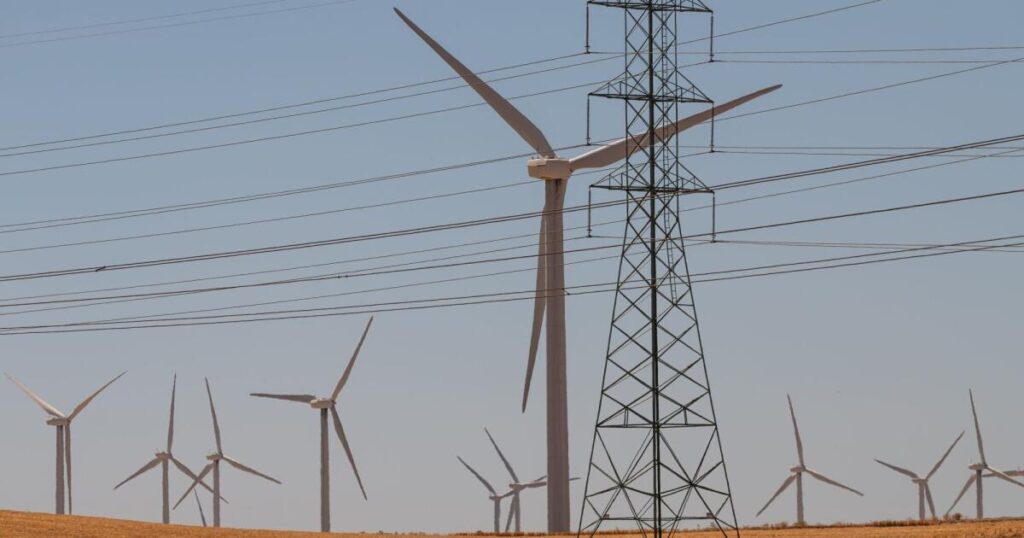 Green energy stocks surge despite Trump’s  policies