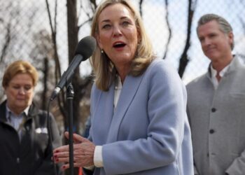 Leaked memo reveals California debated cutting wildfire soil testing before disaster chief’s exit