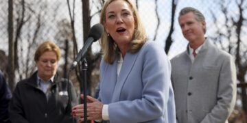 Leaked memo reveals California debated cutting wildfire soil testing before disaster chief’s exit