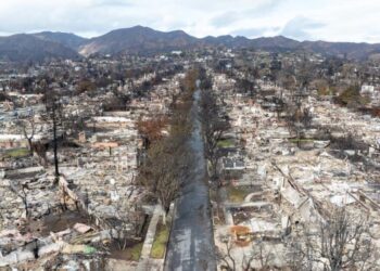 Images documenting the year of recovery after the Palisades fire 
