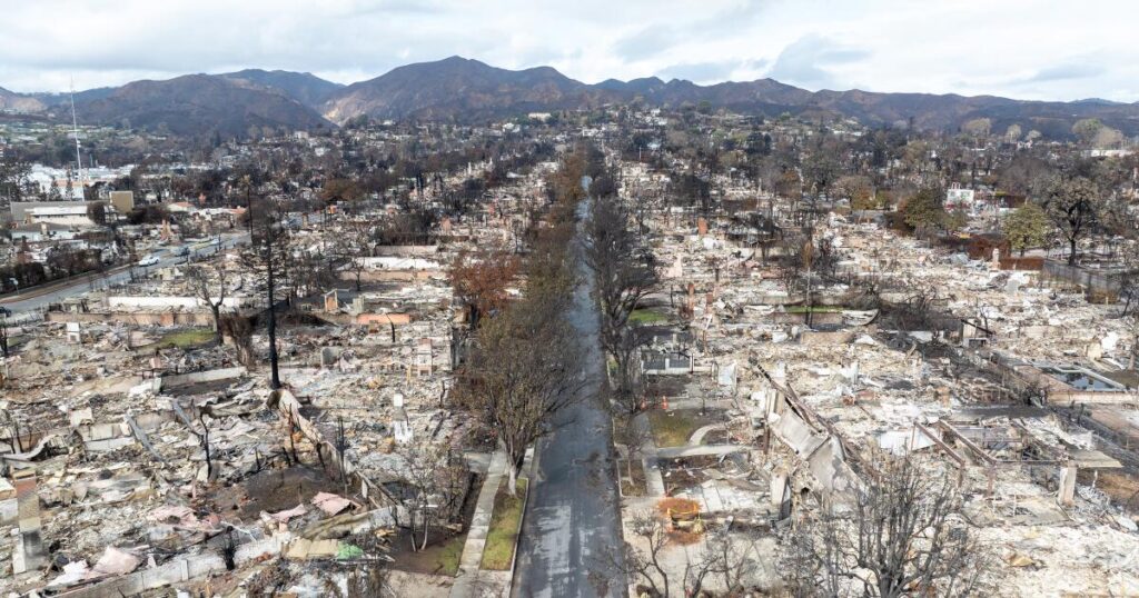 Images documenting the year of recovery after the Palisades fire