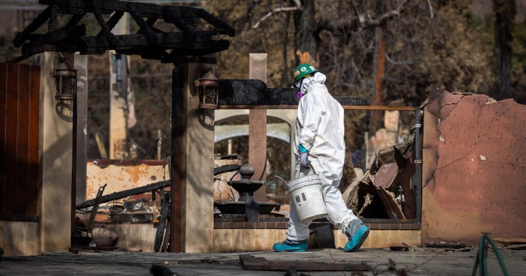 A push to end a fractured approach to post-fire contamination removal