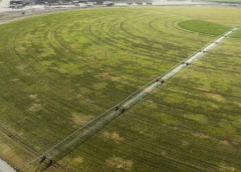 Arizona draws a line on groundwater use after letting Saudi-owned company pump freely for years