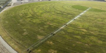 Arizona draws a line on groundwater use after letting Saudi-owned company pump freely for years