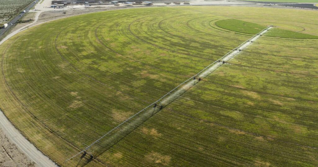 Arizona draws a line on groundwater use after letting Saudi-owned company pump freely for years