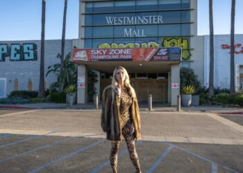 California’s dead malls beset by blight, vandalism. They deserve more respect, fans say