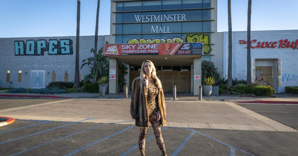 California’s dead malls beset by blight, vandalism. They deserve more respect, fans say