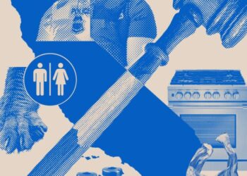 California rolls out sweeping new laws for 2026, from cellphone limits in schools to a ban on cat declawing