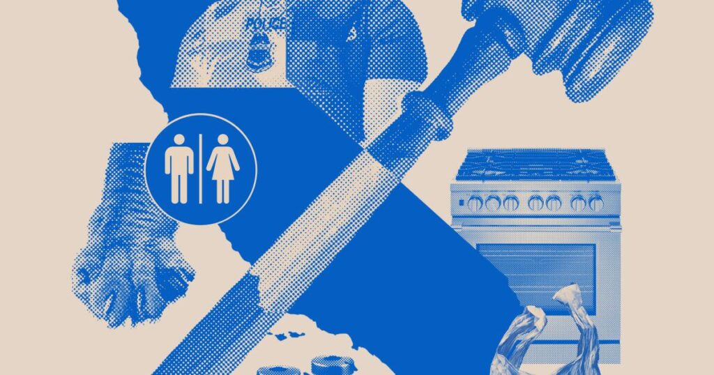 California rolls out sweeping new laws for 2026, from cellphone limits in schools to a ban on cat declawing