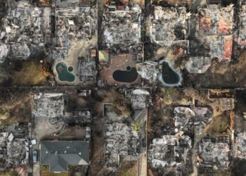 A year of Altadena’s recovery following the Eaton fire