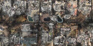 A year of Altadena’s recovery following the Eaton fire